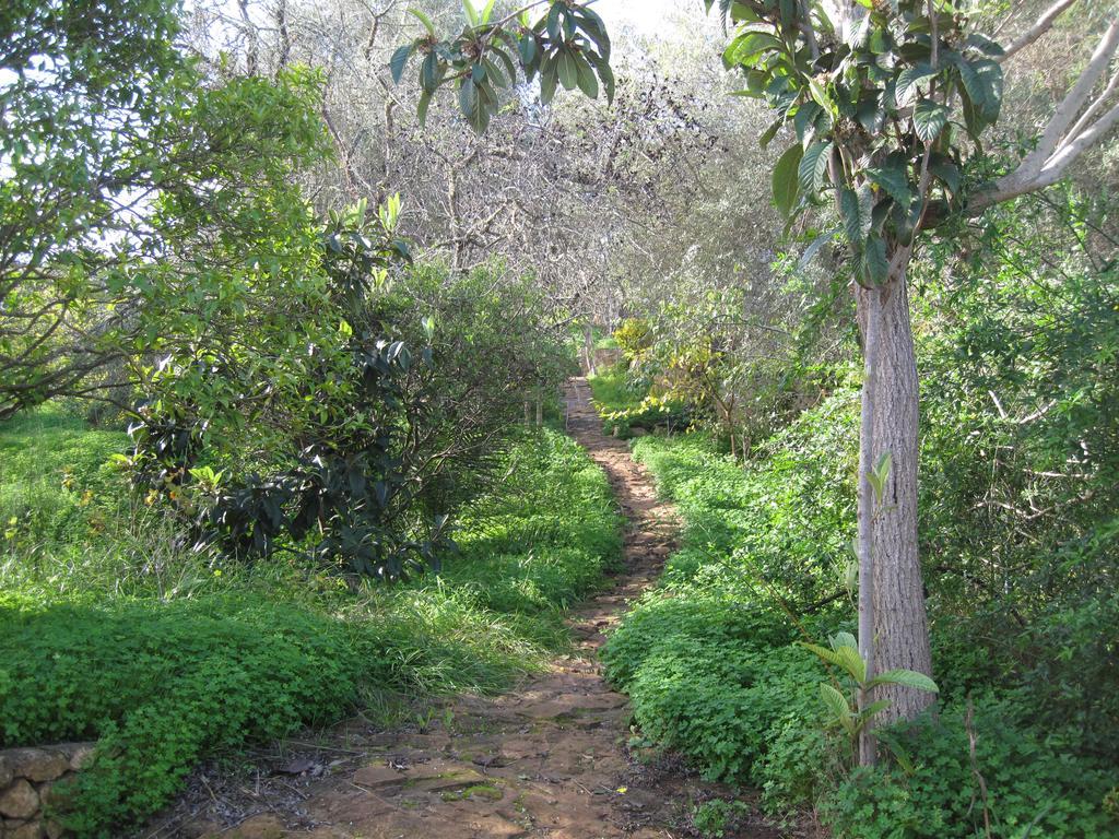 Quinta Das Seis Marias Villa Lagos Exteriör bild